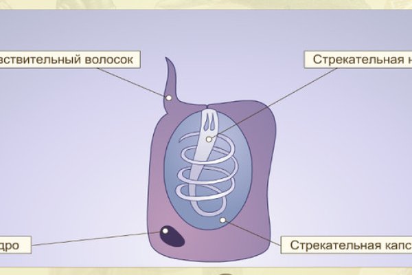 Кракен это наркота