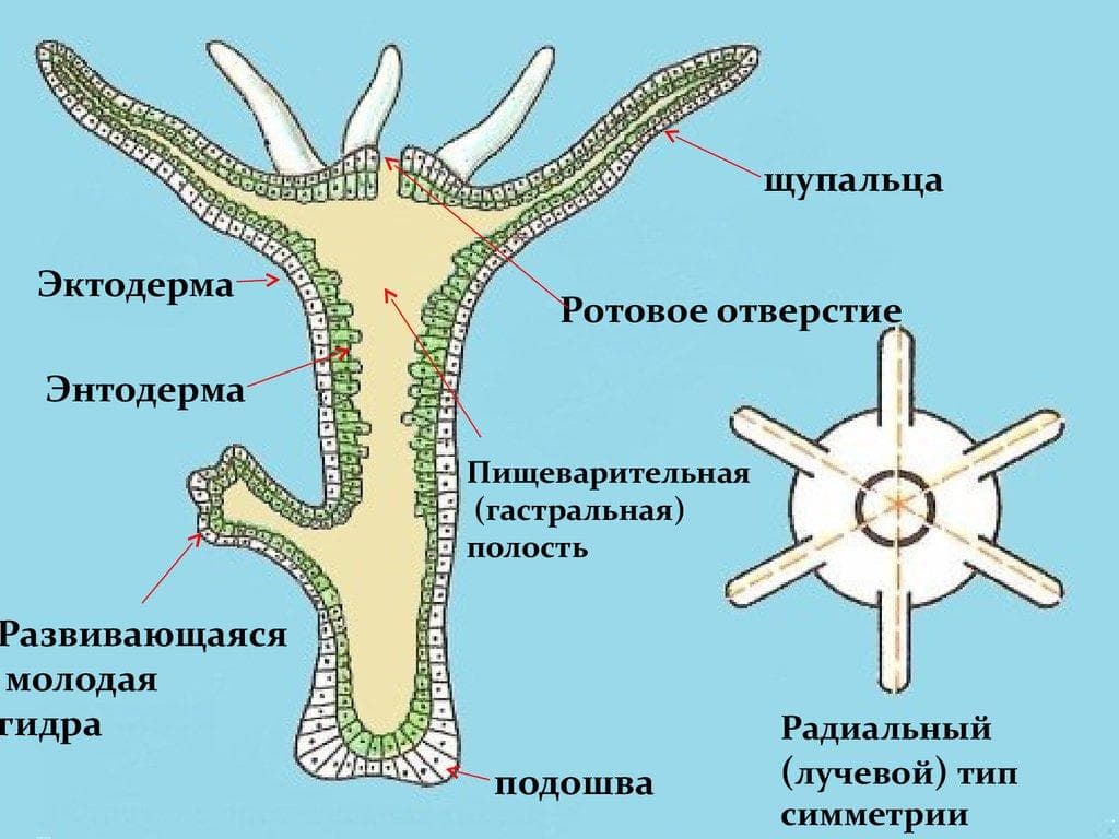 Не заходит на кракен